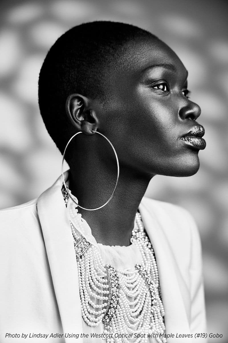 Westcott Optical Spot Gobo Set - Environmental - Image 5