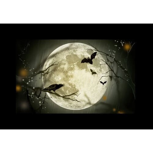 Godox AK-S Slide Set - Image 50