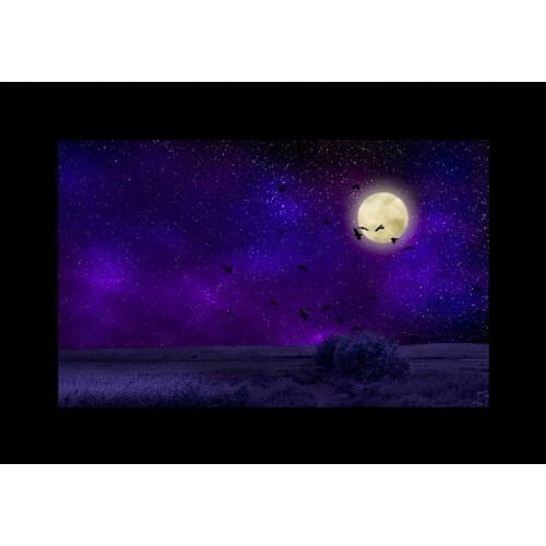 Godox AK-S Slide Set - Image 45