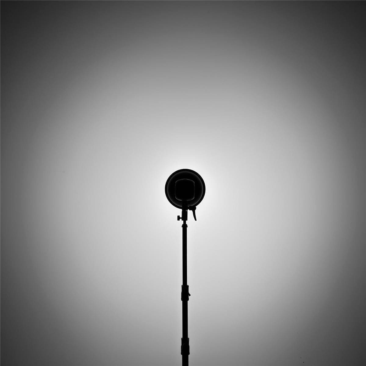 Westcott 70 Degree Reflector and Grid Set - Image 5