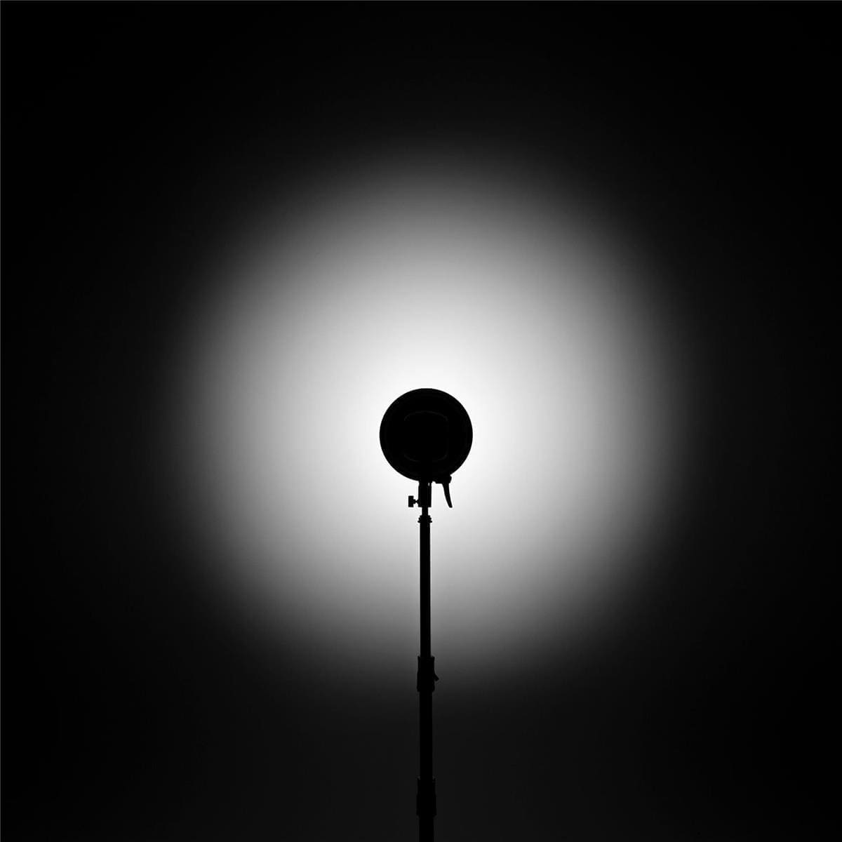 Westcott 70 Degree Reflector and Grid Set - Image 3